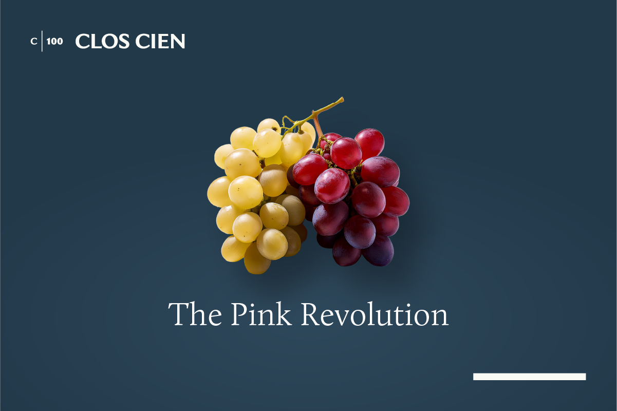 La Rioja Grape Varieties – Educational Series (6 of 10)