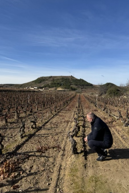 Brian in the vineyard Brian Thompson, founder of Clos Cien, crouching to inspect dormant Vaso bush vines in Rioja Alavesa, with a hilltop village visible in the background.