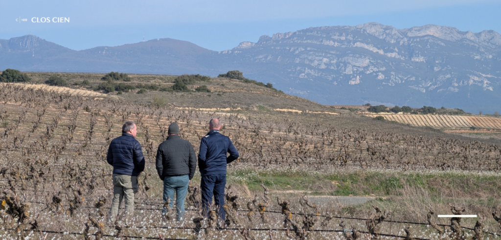 Three members of the CLOS CIEN team standing among dormant Vaso vine rows in La Rioja, looking out over the vineyard landscape toward the Cantabrian Mountains in early spring
