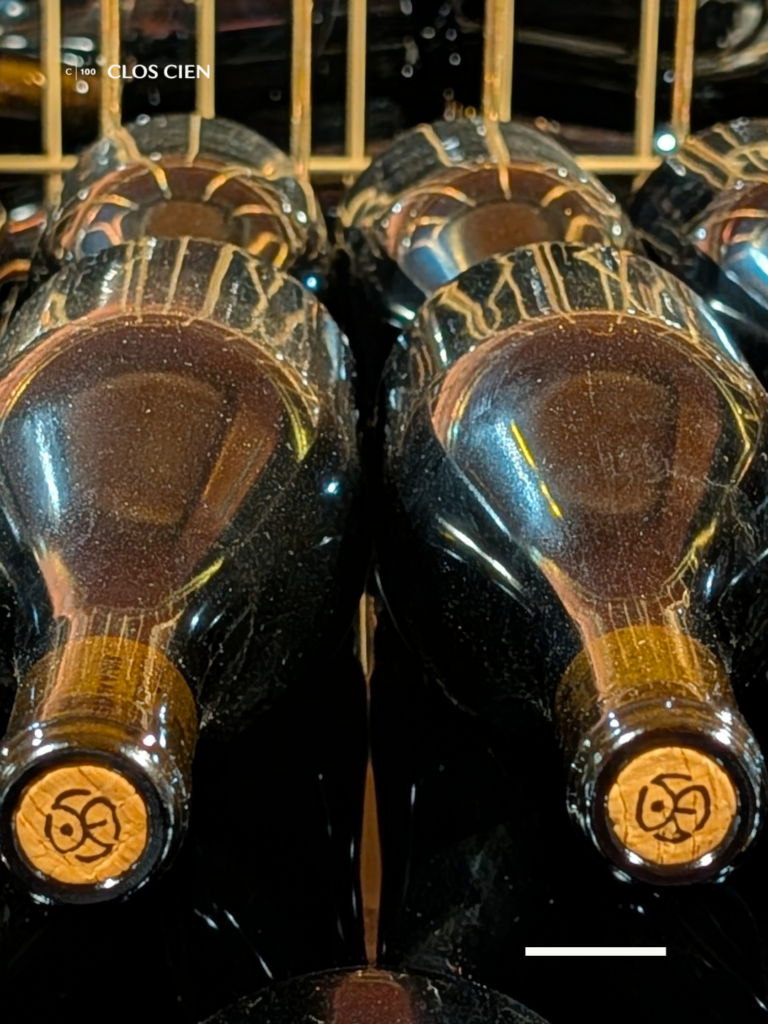 CLOS CIEN wine bottles resting horizontally in a cellar rack during the ageing process, showing the branded cork and dusty glass of wines maturing in Rioja, Spain