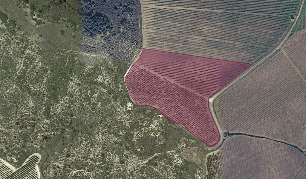 GPS mapped vineyard plot boundaries in La Rioja Alavesa